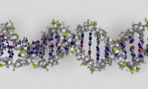 11_29_2012_dna-molecule-e1354204122210